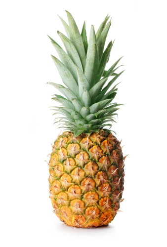 7e158557e2359abffcebdc279c7b2b1a
